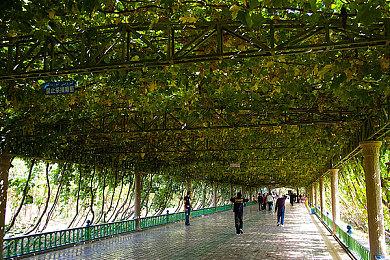 使命召唤19第三赛季更新内容是什么？COD19第三赛季新武器有哪些？